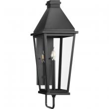 Progress P560346-031 - Richmond Hill Collection One-Light Clear Glass Modern Farmhouse Outdoor Large Wall Lantern