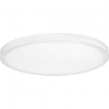 Progress P810018-030-30 - Everlume Collection 18" Edgelit Surface Mount