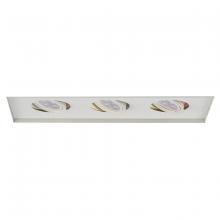 WAC US MT-316LEDTL-WT - Low Voltage Multiple Invisible Two Light Trim