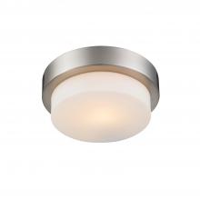 Golden 1270-09 PW - Multi-Family Flush Mount in Pewter with Opal Glass