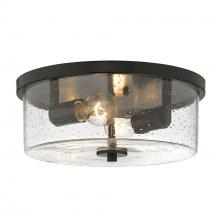 Golden 4307-FM BLK-SD - Flush Mount