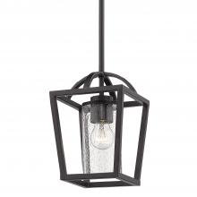 Golden 4309-M1L BLK-BLK-SD - Mini Pendant