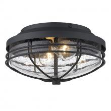 Golden 9808-OFM NB-SD - Flush Mount - Outdoor