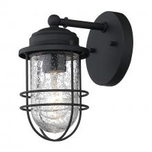 Golden 9808-OWS NB-SD - Seaport Small Outdoor Wall Sconce in Natural Black