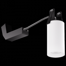 Elco Lighting E25DB-11SD - 2" WHT DRCT MNT 38 1150LM SSD