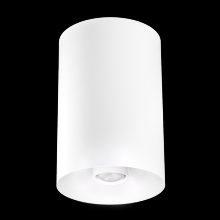 Elco Lighting E42FW-07SD-FC - 4? Sylo Surface Mount with Koto Focus Module