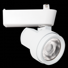 Elco Lighting ET580DW - 10W LED TRK HEAD 800LMN 36DEG 3K DIM
