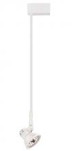 Elco Lighting ET534-24W - Electronic Low Voltage Clasp Accent Light with Stem Extension Track Fixture