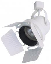 Elco Lighting EP823W - DISCON BARN DOOR FOR PAR 30