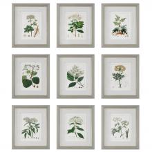 Uttermost 41466 - Uttermost Antique Botanicals Framed Prints, S/9